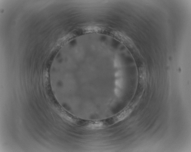 X0000080730369200612151230