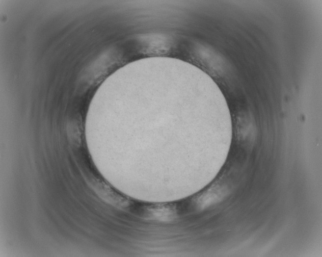 X0000080730370200612151230