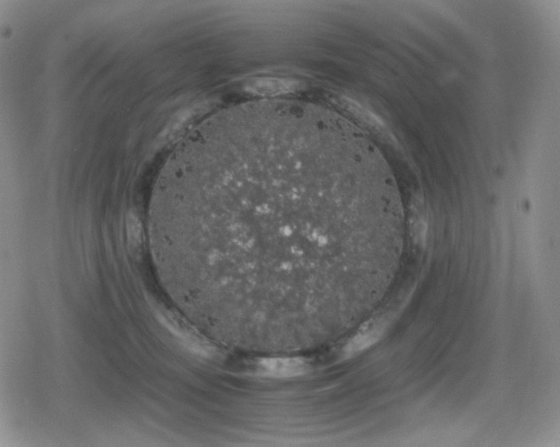 X0000080730371200612151230