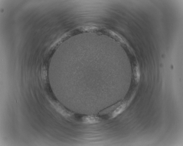 X0000080730372200612151230