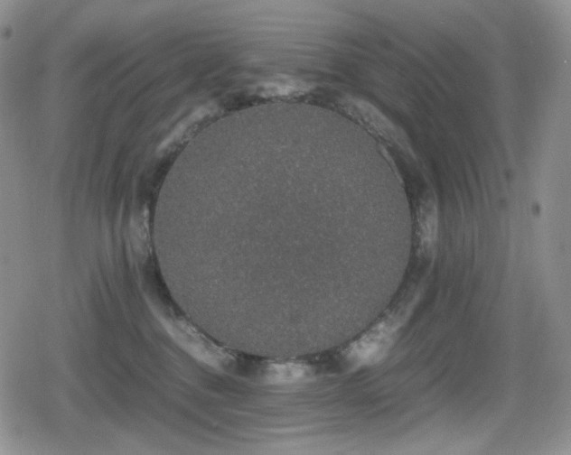 X0000080730376200612151230