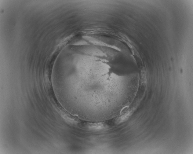 X0000080730377200612151230