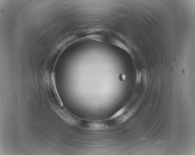 X0000080730380200612151230