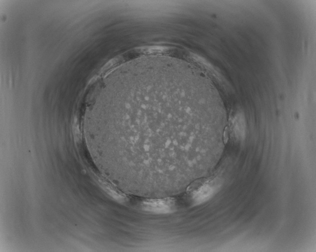 X0000080730381200612151230