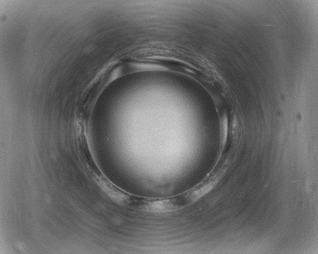 X0000080730382200612151230