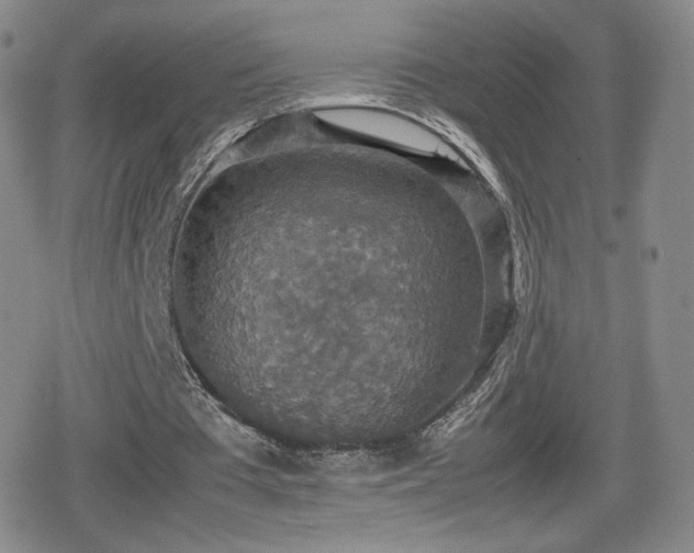 X0000080730385200612151229