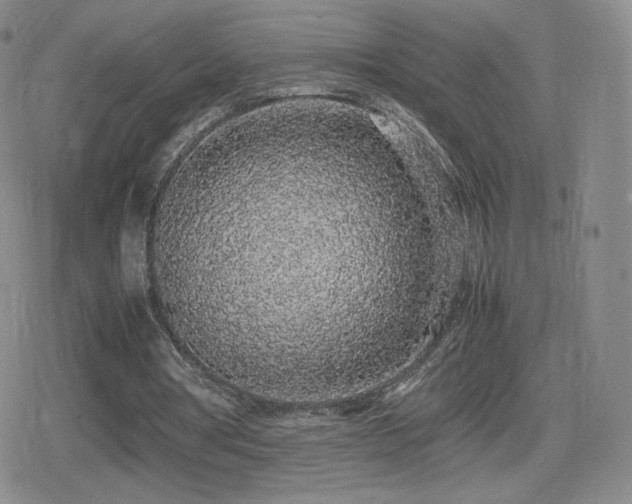 X0000080730386200612151229