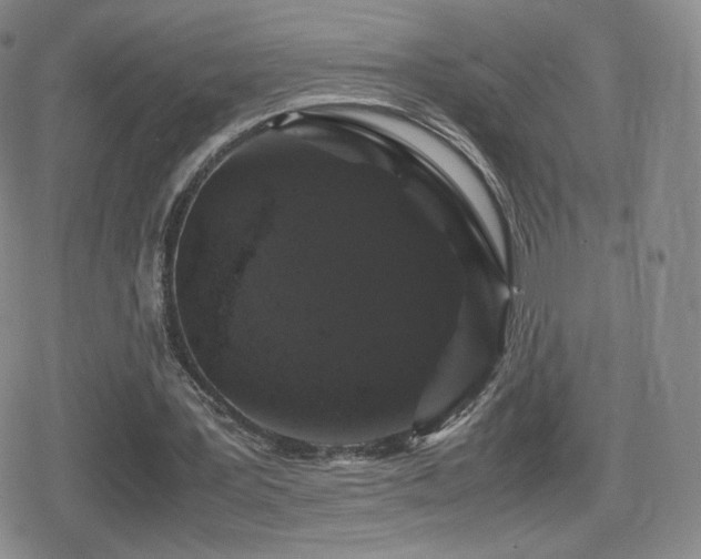 X0000080730387200612151229