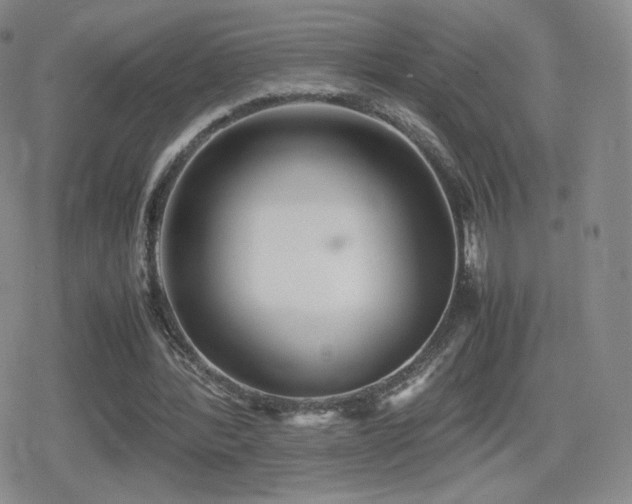 X0000080730388200612151229