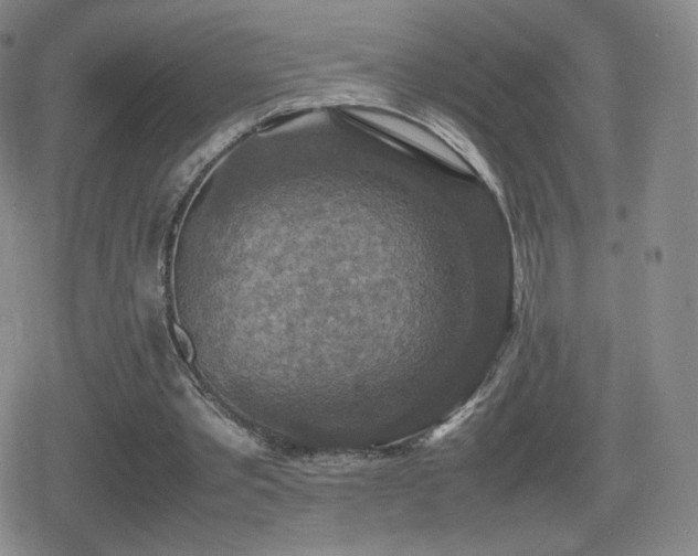 X0000080730389200612151229