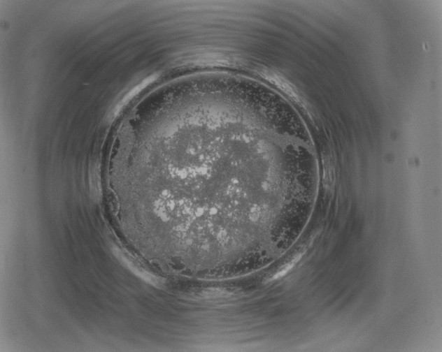 X0000080730390200612151229