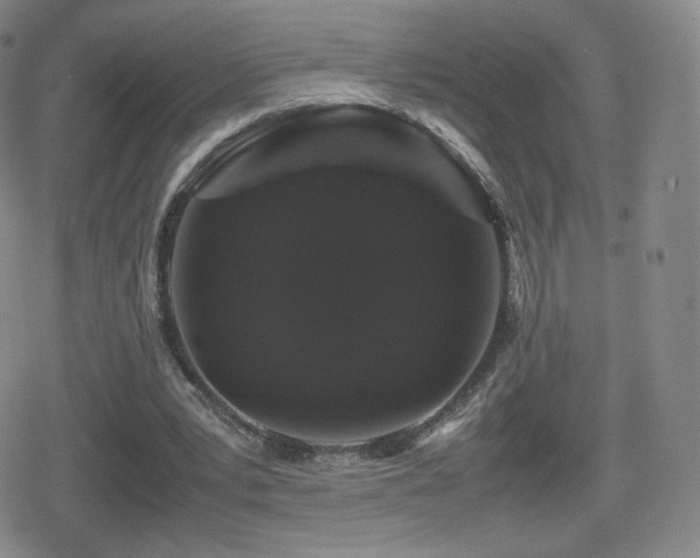 X0000080730391200612151229