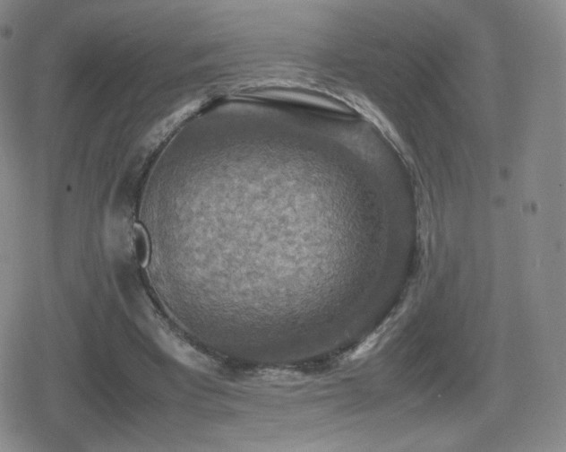 X0000080730393200612151229