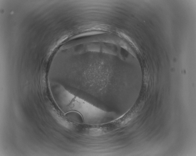 X0000080730394200612151229