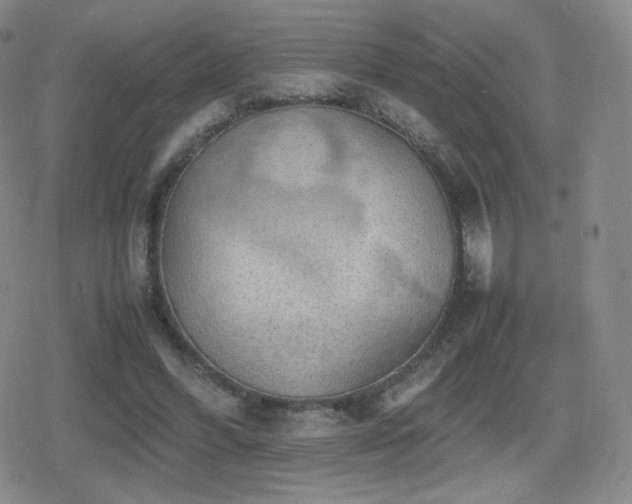 X0000080730396200612151229