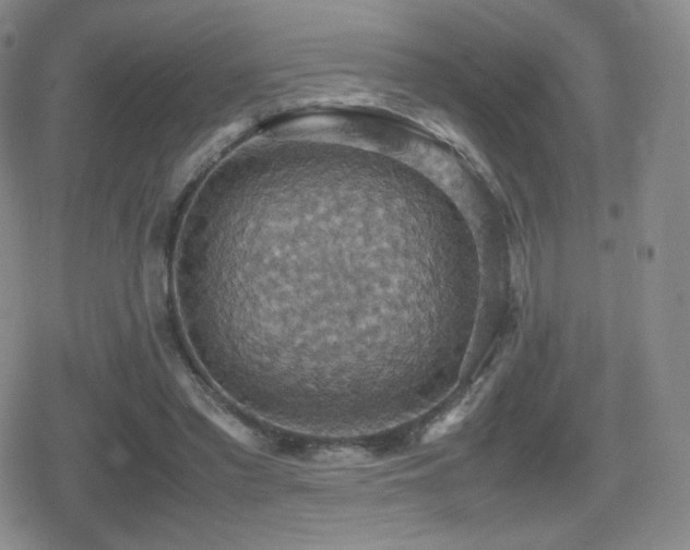 X0000080730397200612151229