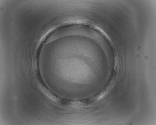 X0000080730399200612151229