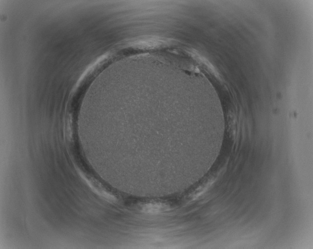 X0000080730400200612151229