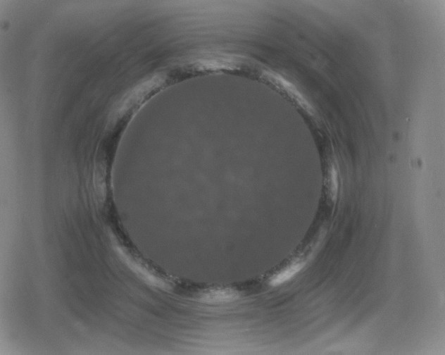 X0000080730402200612151229