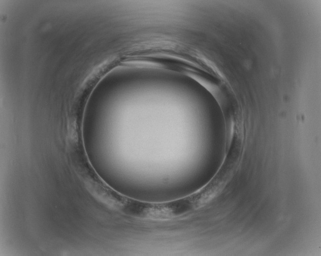 X0000080730403200612151229