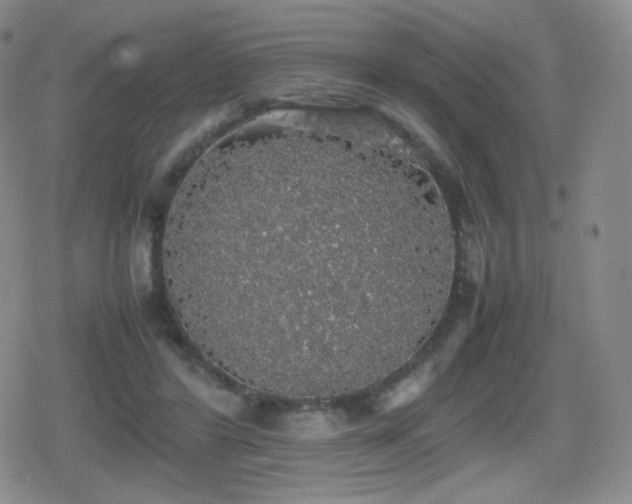 X0000080730404200612151229