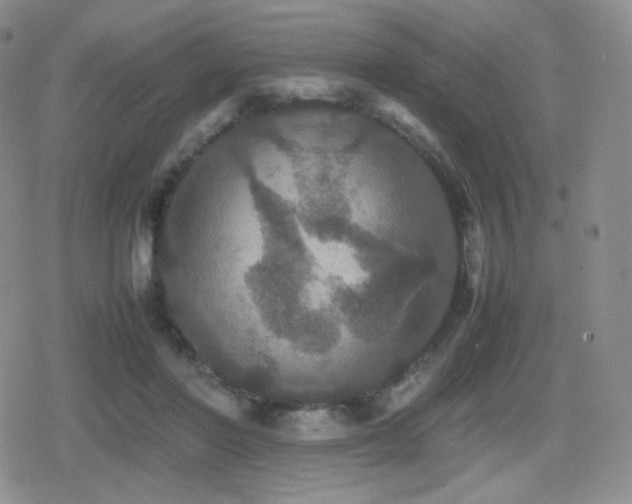 X0000080730406200612151229