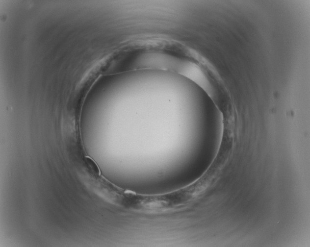 X0000080730407200612151229