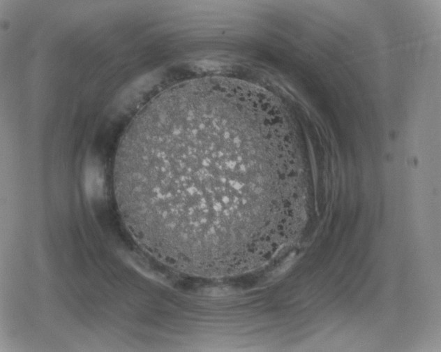 X0000080730408200612151229