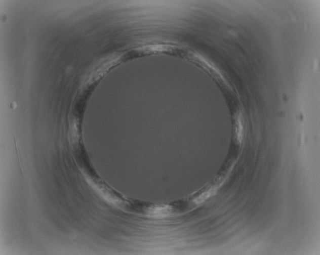 X0000080730410200612151229