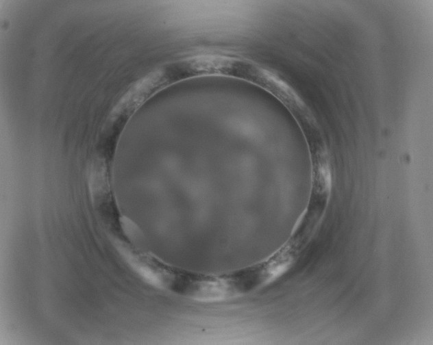 X0000080730411200612151229