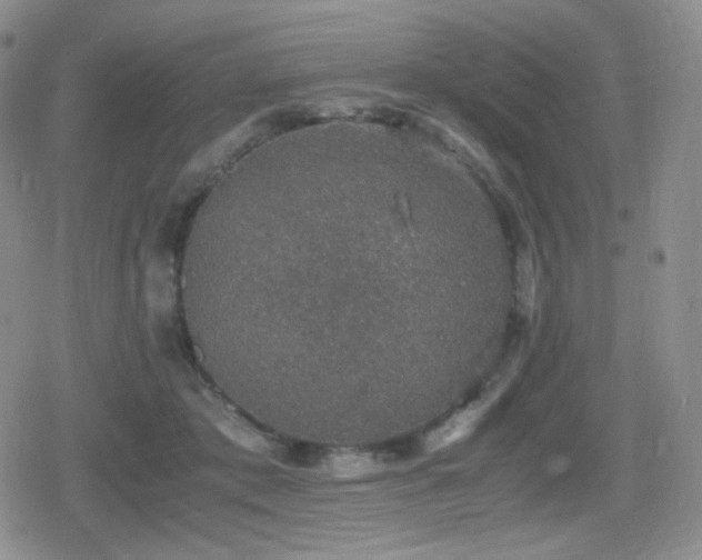 X0000080730413200612151229