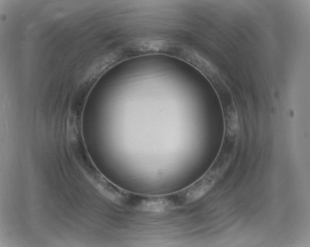 X0000080730414200612151229