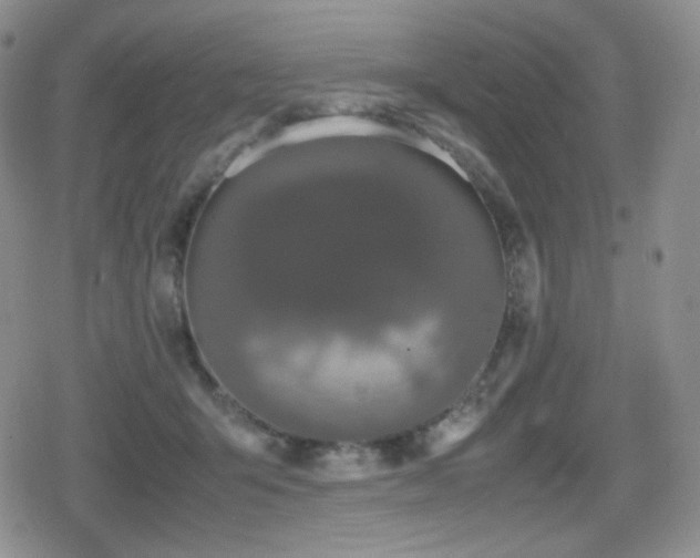 X0000080730415200612151229