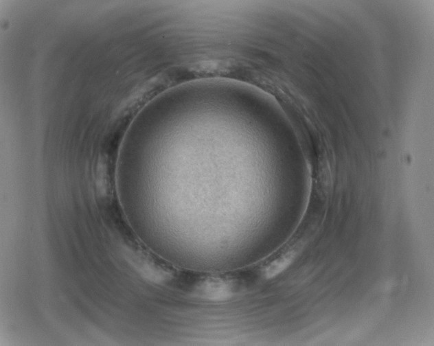 X0000080730416200612151229