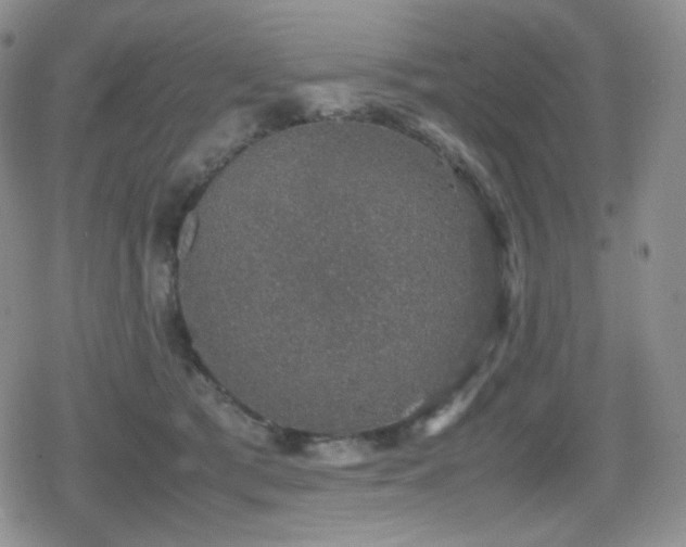 X0000080730417200612151229