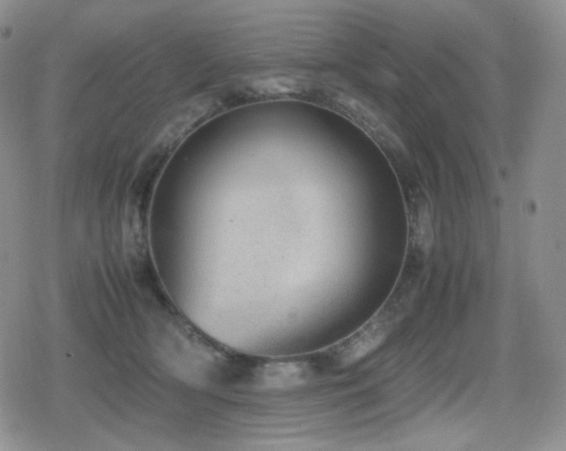 X0000080730418200612151229