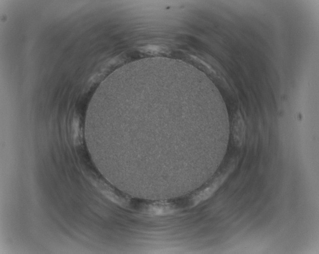 X0000080730420200612151229