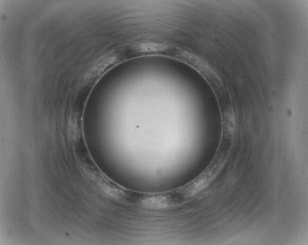 X0000080730422200612151229