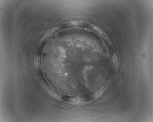 X0000080730423200612151229