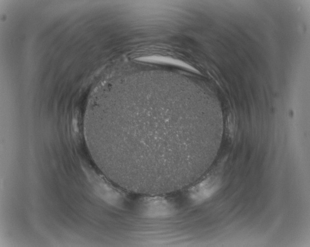 X0000080730424200612151229