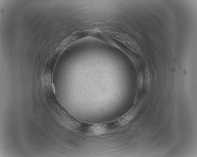 X0000080730425200612151229