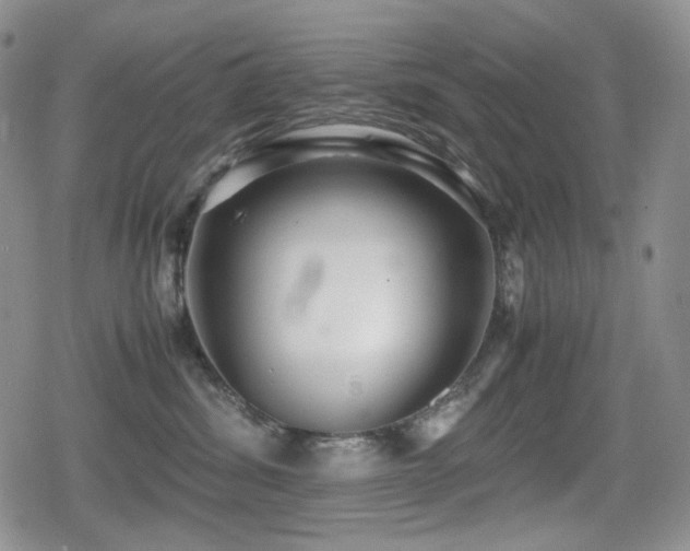 X0000080730428200612151229