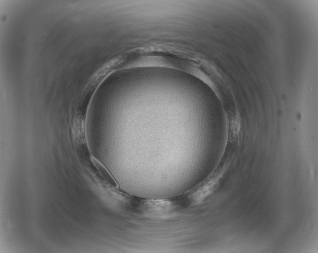 X0000080730429200612151229