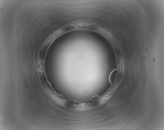 X0000080730430200612151229