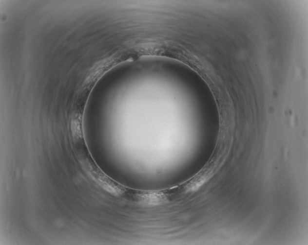 X0000080730432200612151229