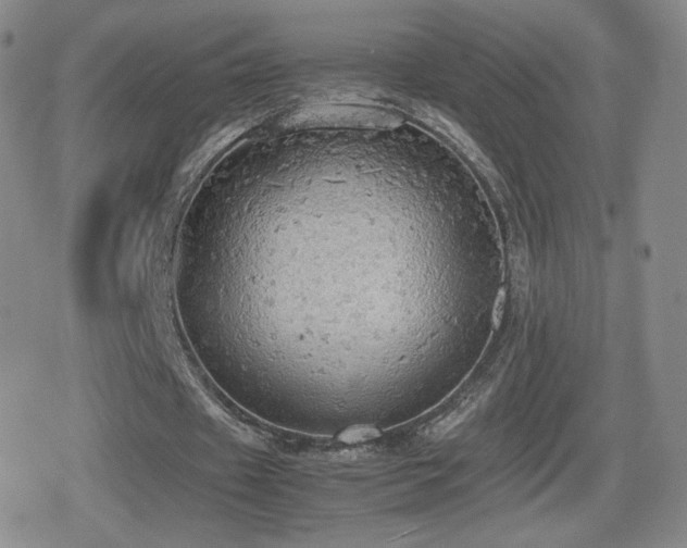 X0000080730433200612151228