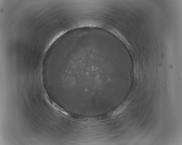 X0000080730434200612151228