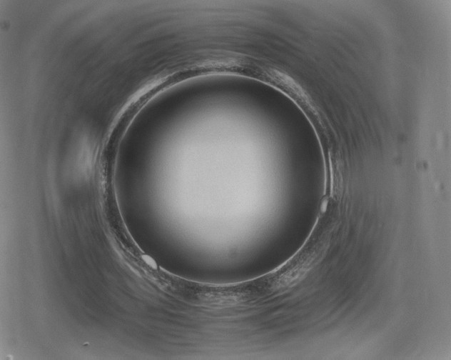 X0000080730435200612151228