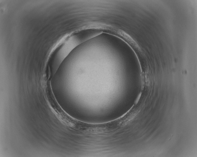 X0000080730436200612151228