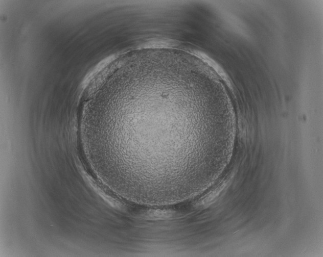 X0000080730437200612151228